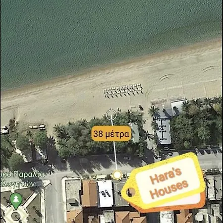 Apartment Hara's Flogita